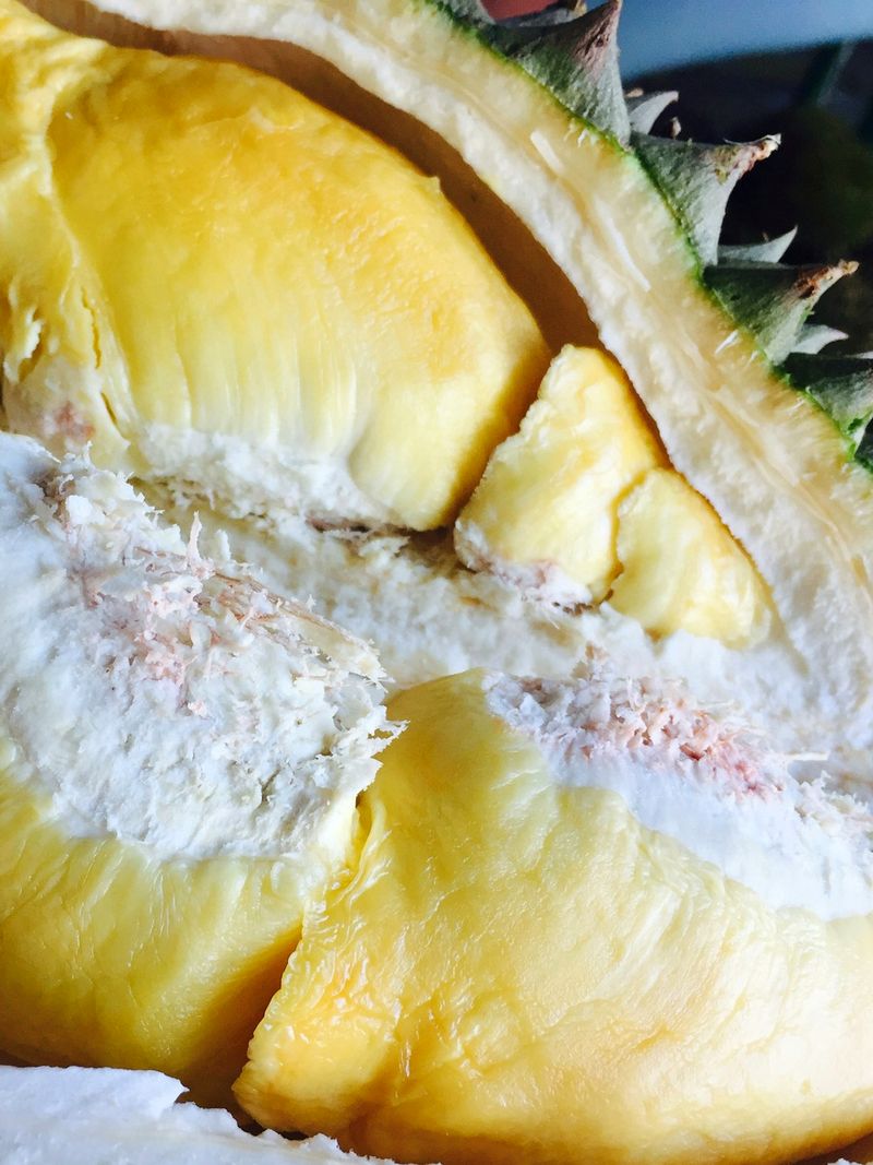 Daging durian tebal berwarna kuning di dalam kulit