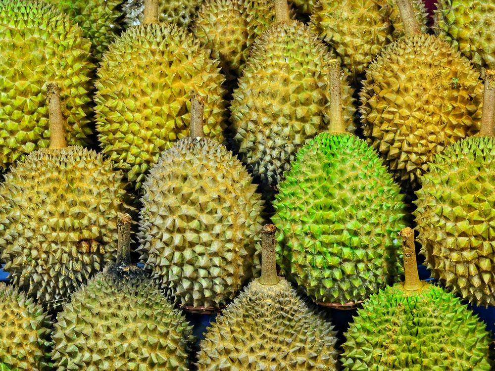 Tumpukan buah durian segar