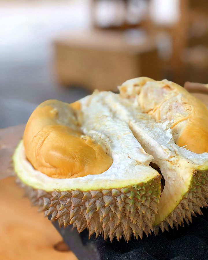 Durian Montong Palu Sulawesi dari Nummy Durian